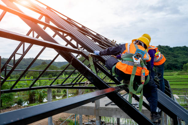 Best Metal Roofing Contractor  in Mission, SD
